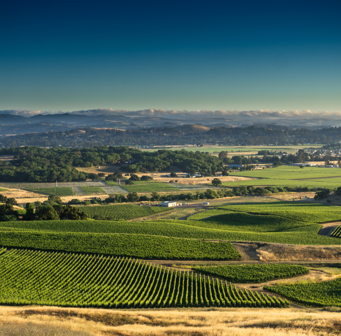 homes for sale sonoma county